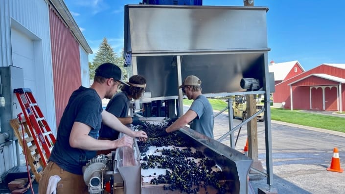 Harvest 2021 Report – Hear From Our Winemaker