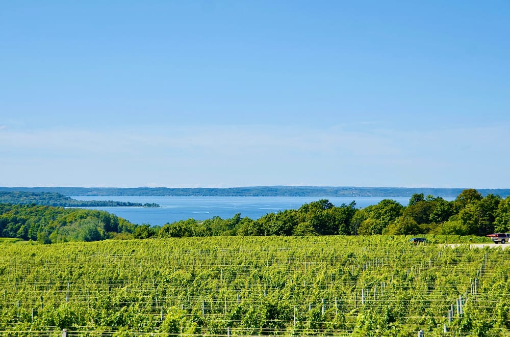 The Best Things to do in Traverse City 2